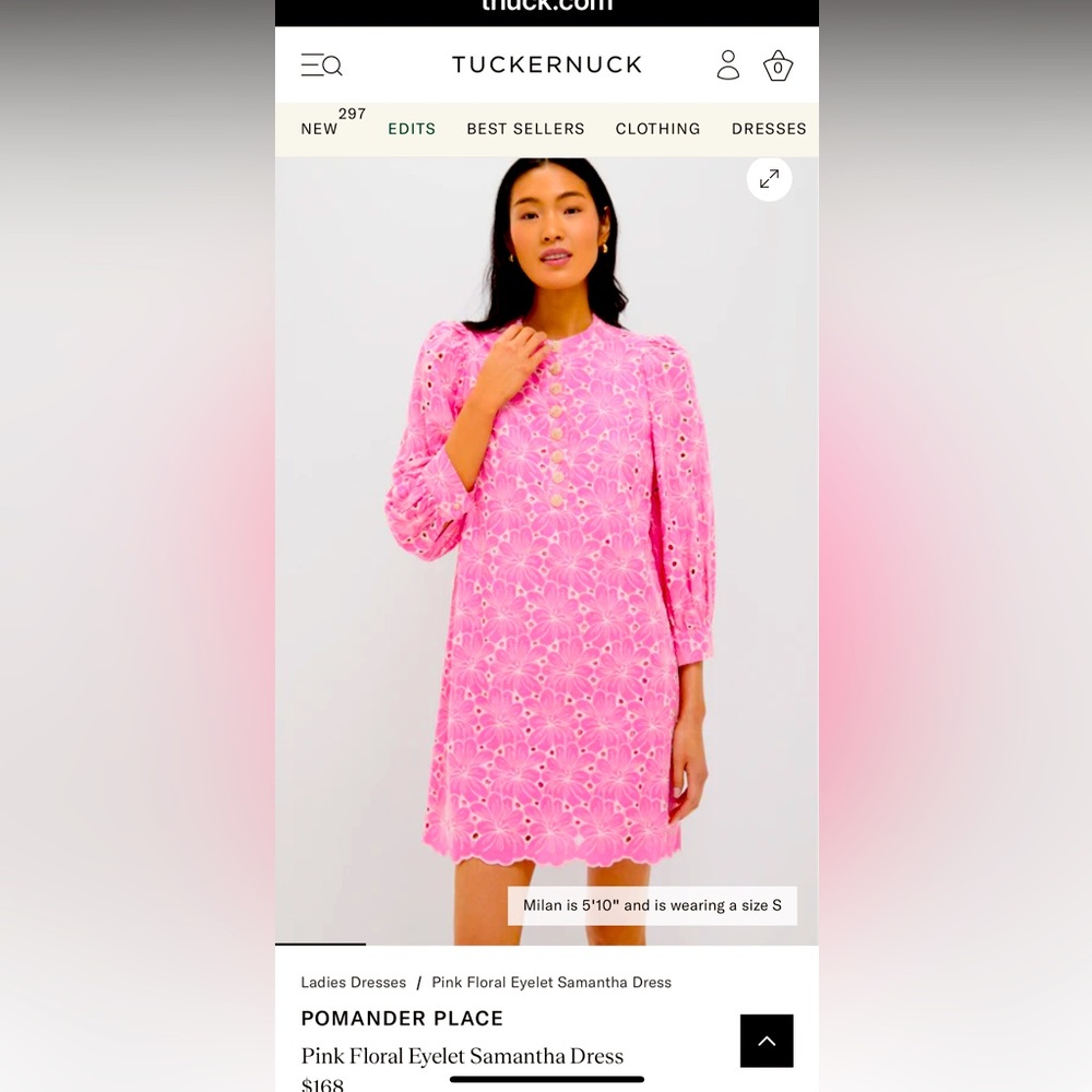 BNWT Tuckernuck Pink Eyelet dress
